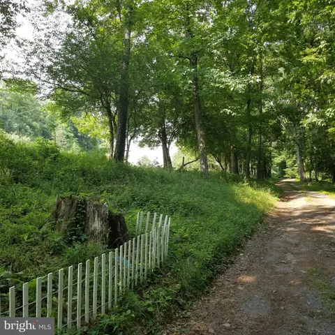 a view of street view and trees