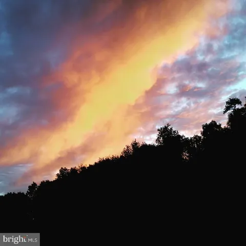 a fire hydrant in the middle of a forest