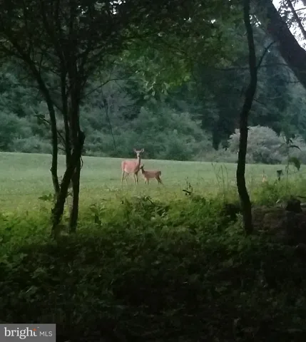a view of swimming pool from a lake view