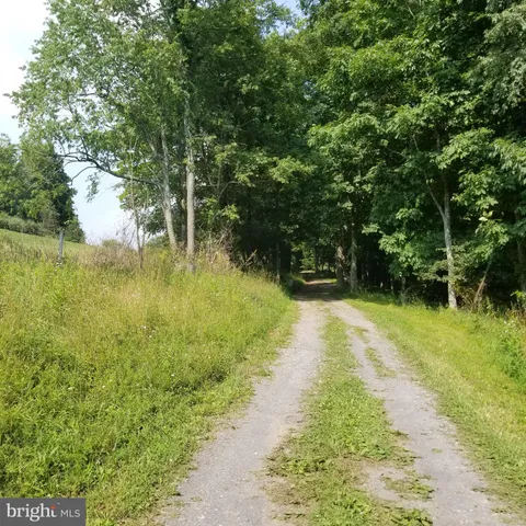 a view of a field with a trees