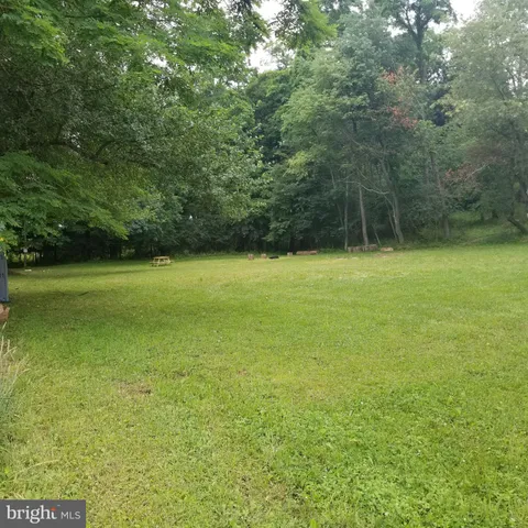 a view of a tree in a yard