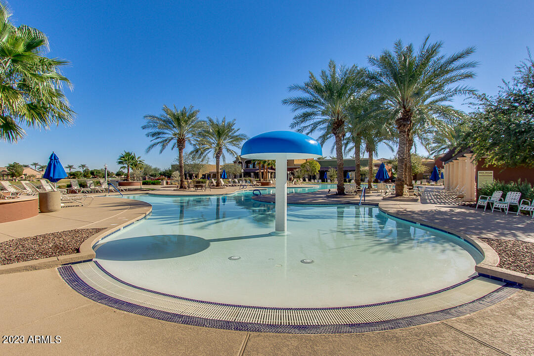 41817 West Cribbage Road Maricopa, AZ 85138 - Photo 42 of 63 9 Pool - Kid's area