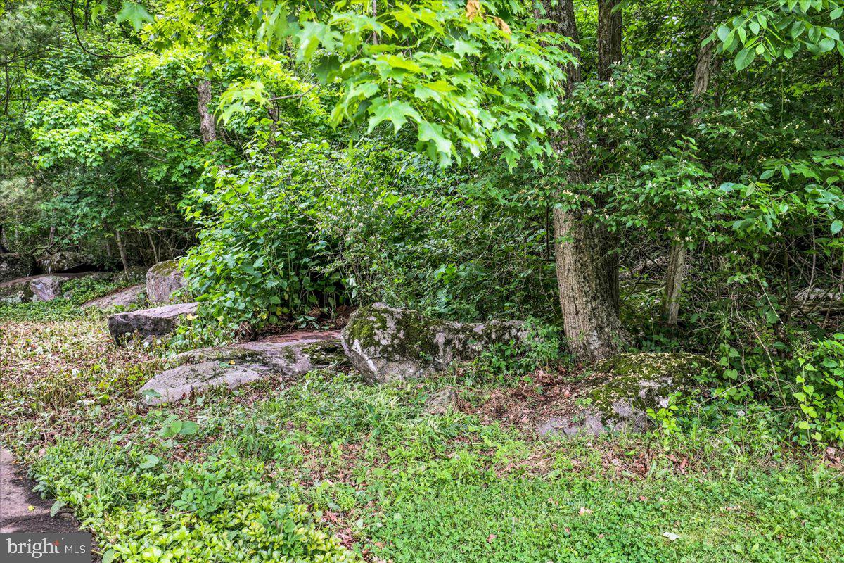 283 Witmer Road Mohnton, PA 19540 - Photo 46 of 49 Woods off back of house