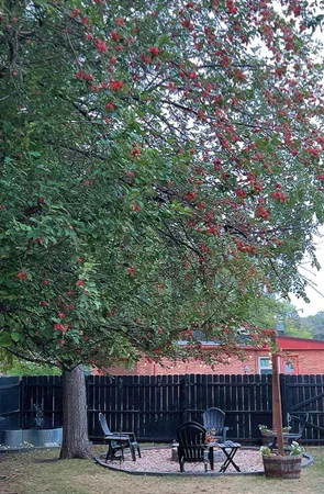 $144,900 | 240 Kneale Avenue North, Thief River Falls, MN 56701