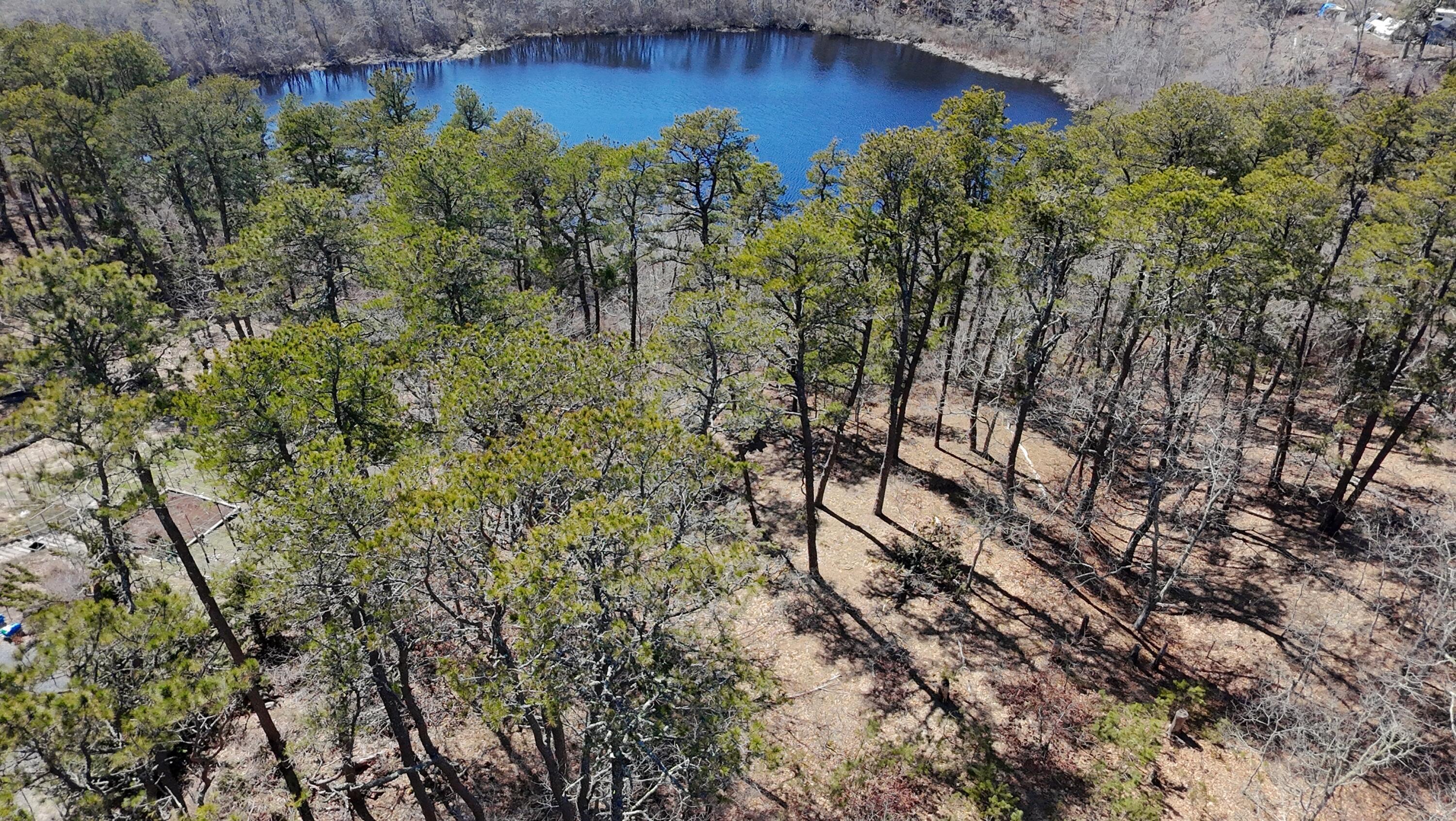 60 Perch Pond Way Wellfleet, MA 02667 - Photo 2 of 8 dji_fly_20260409_141330_0021_17757588444
