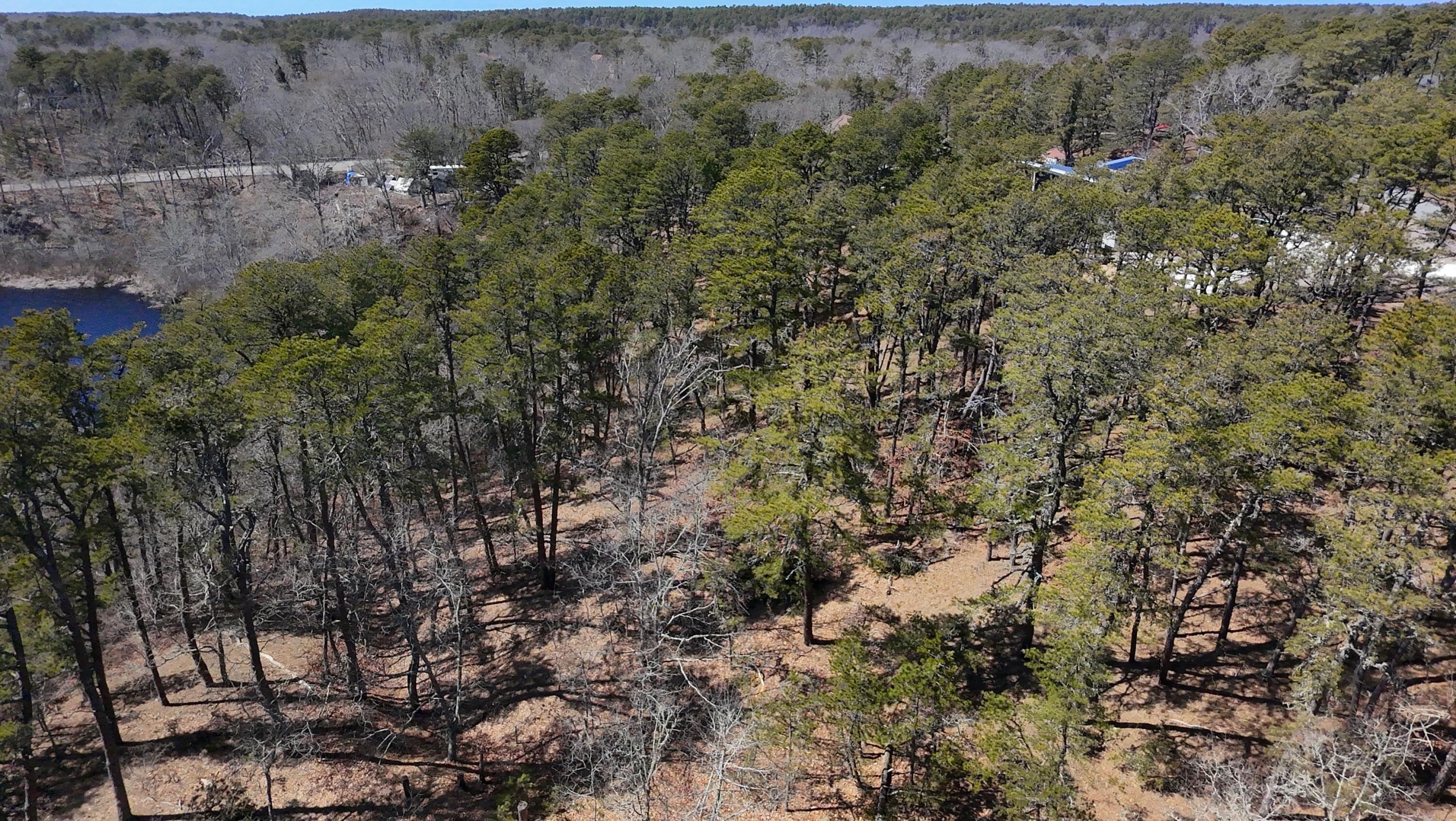 60 Perch Pond Way Wellfleet, MA 02667 - Photo 6 of 8 dji_fly_20260409_141506_0030_17757587775