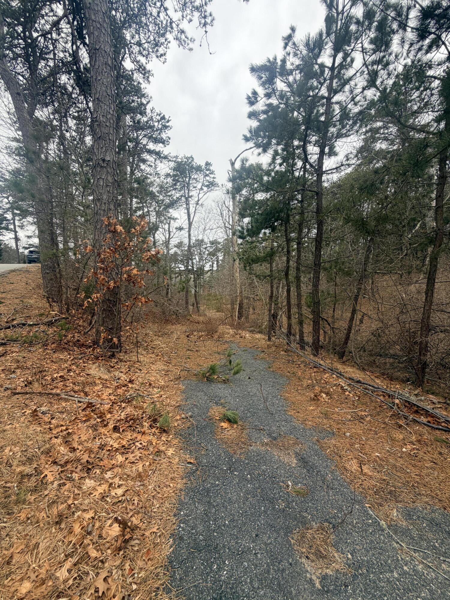 60 Perch Pond Way Wellfleet, MA 02667 - Photo 7 of 8 a backyard of a house with lots of green space
