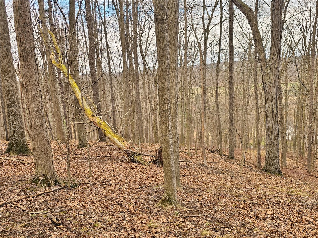 2130 Guyanoga Road Jerusalem, NY 14527 - Photo 26 of 26