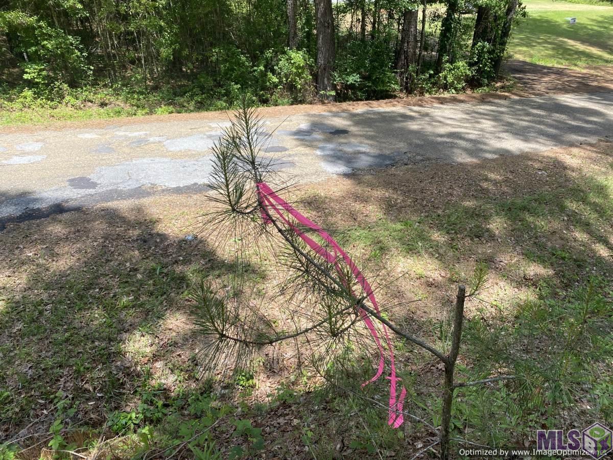 3552 A Mound Road Wesson, MS 39191 - Photo 3 of 11