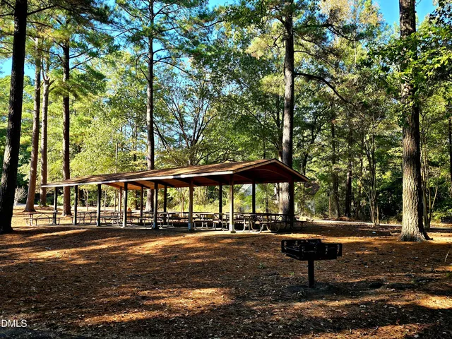 a view of outdoor space with lots of trees and lots of trees