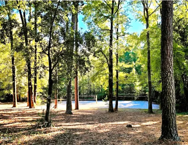 a view of a yard with trees