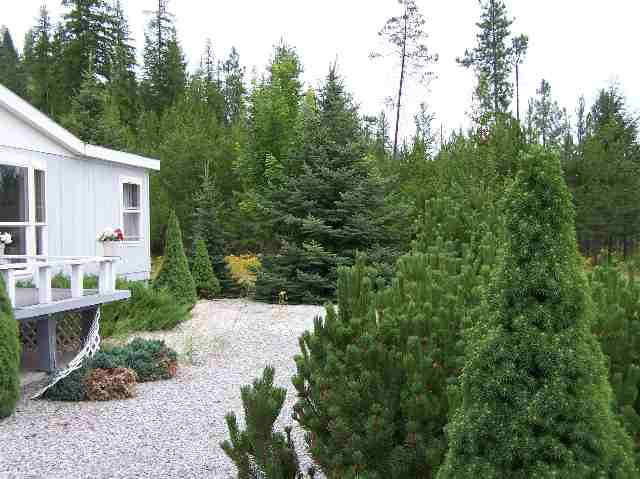 2845 Wrights Valley Road Chewelah, WA 99109 - Photo 6 of 9 Gallery Image 6