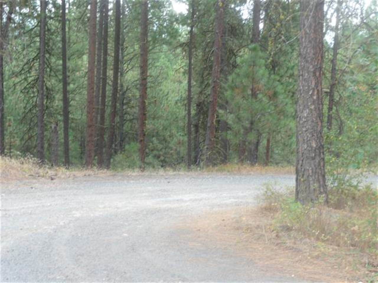 0 South Andrus Road Cheney, WA 99004 - Photo 1 of 5