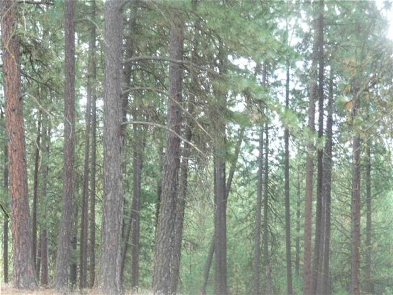 0 South Andrus Road Cheney, WA 99004 - Photo 3 of 5