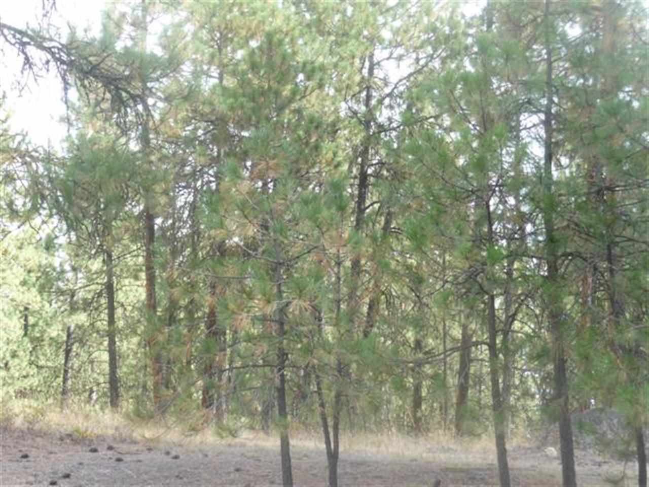 0 South Andrus Road Cheney, WA 99004 - Photo 4 of 5