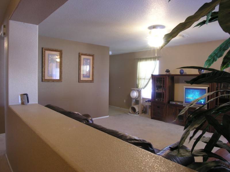 3349 South Bowman Road Apache Junction, AZ 85119 - Photo 3 of 12 Great Room