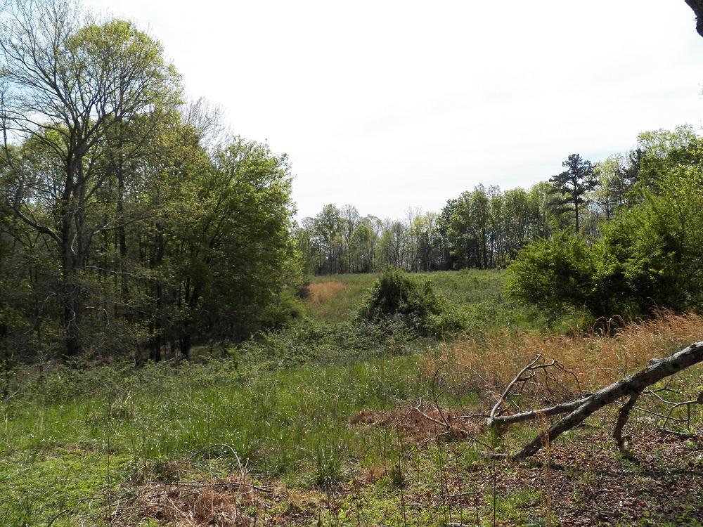 409 Cedar Grove Road Loudon, TN 37774 - Photo 3 of 7 133_0690