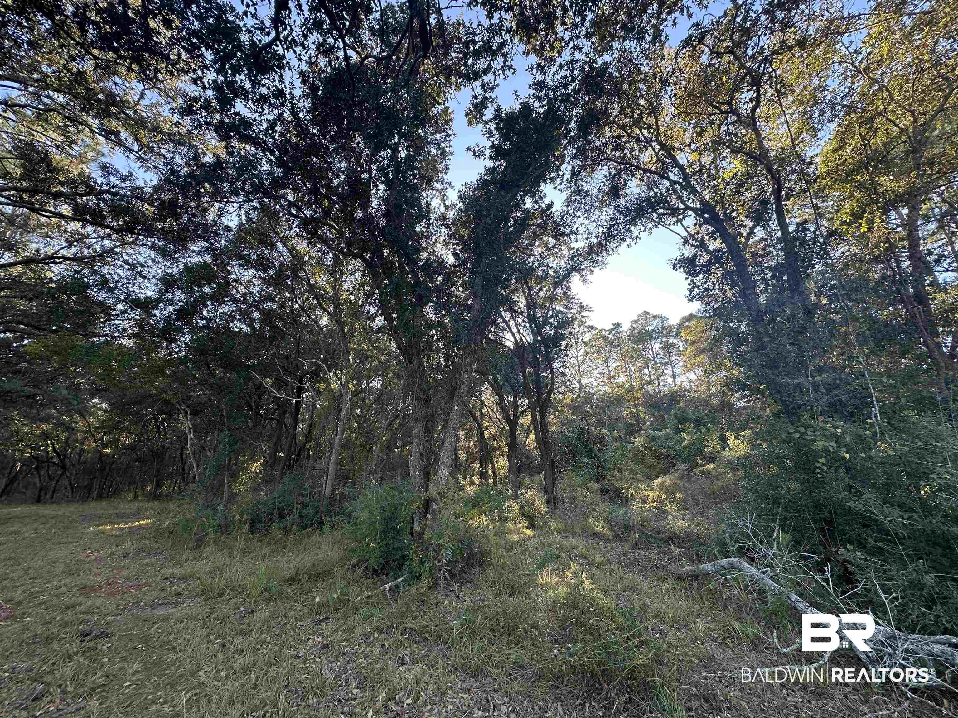 0 Benton Road Foley, AL 36535 - Photo 4 of 7