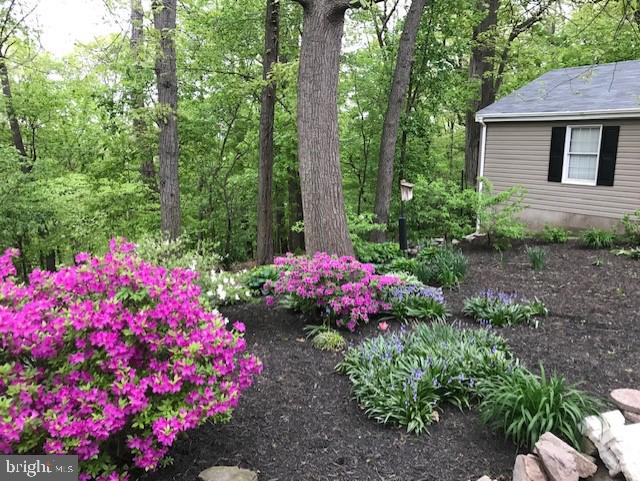 10856 Sandringham Road Cockeysville, MD 21030 - Photo 7 of 54 Gallery Image 7