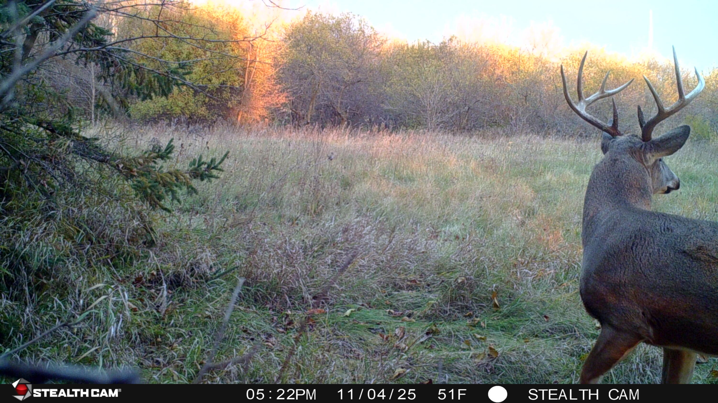 W2995 County Rd Y Leroy, WI 53050 - Photo 47 of 48 STC_0092