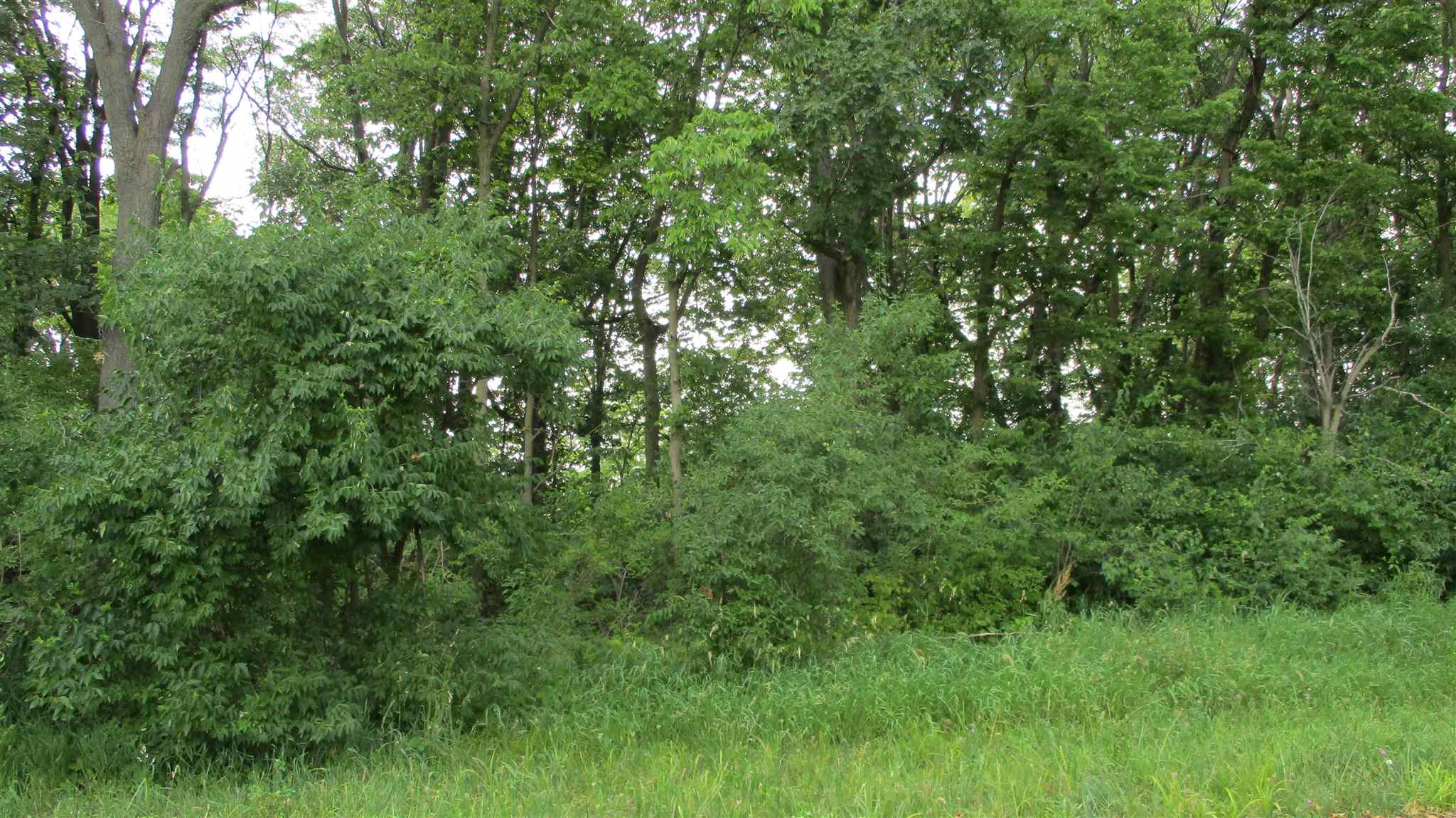 West Milkhouse Road Delphi, IN 46923 - Photo 1 of 5 Gallery Image 1