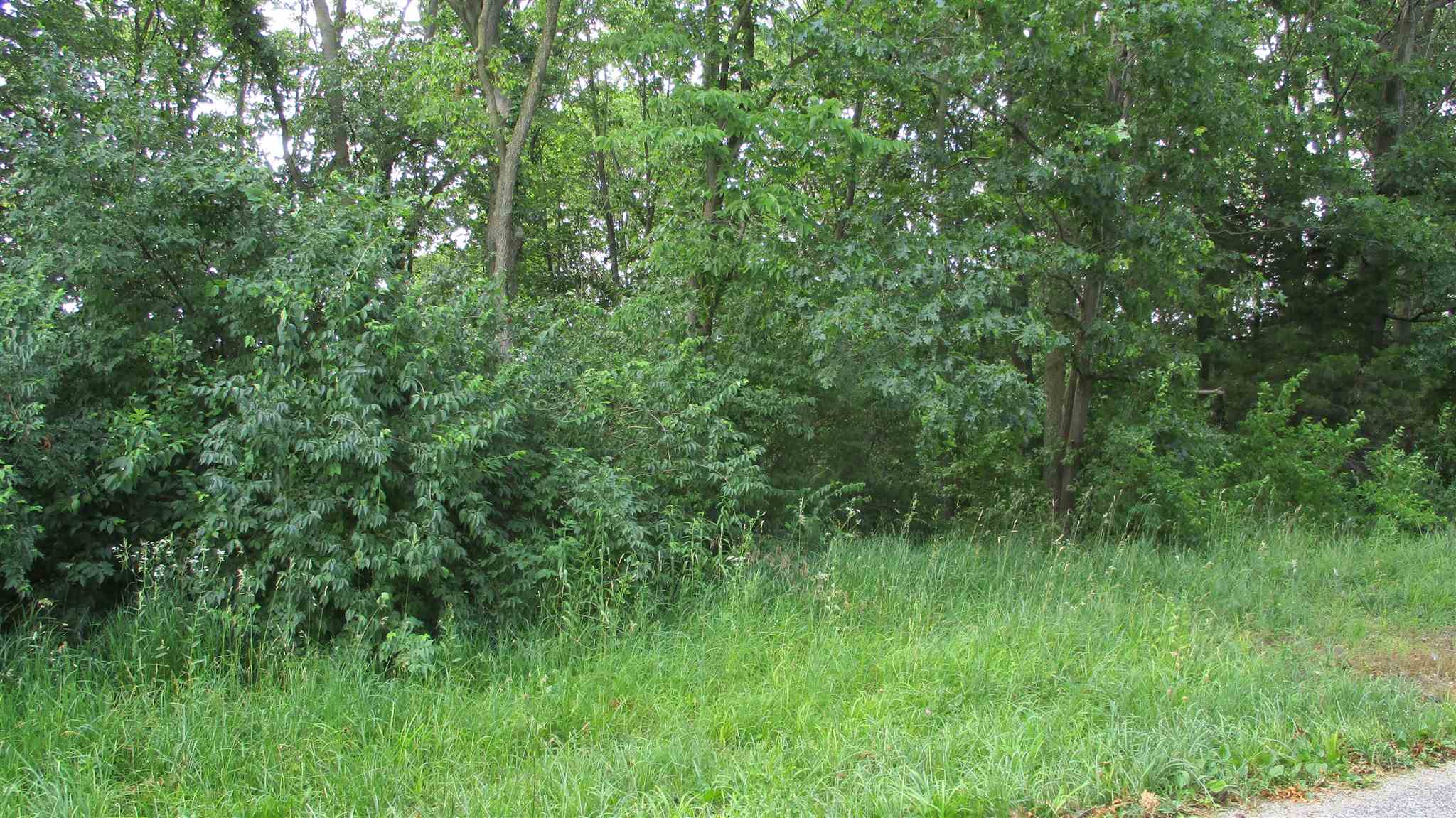 West Milkhouse Road Delphi, IN 46923 - Photo 4 of 5 Gallery Image 4