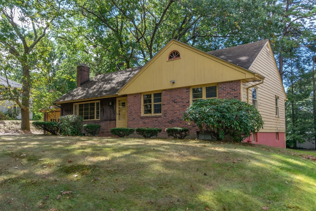 182 Dayton Street Springfield, MA 01118 - Photo 3 of 30 a view of a yard in front of a house with plants and large tree