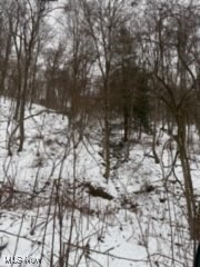 Tbd Skull Run Road Wellsburg, WV 26070 - Photo 30 of 44 Gallery Image 30