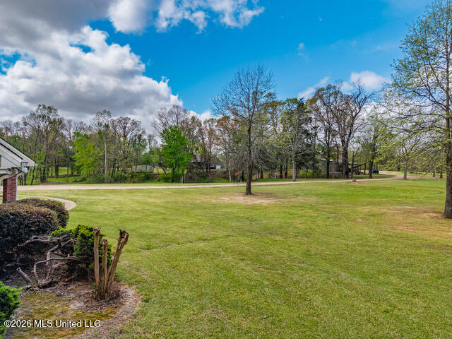 1178 Travis Road Courtland, MS 38620 - Photo 72 of 96 1178 Travis Rd Courtland MS_2026-04-01_7