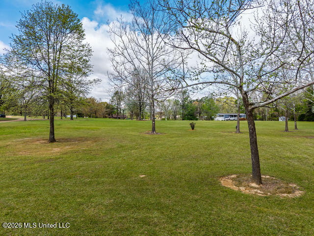 1178 Travis Road Courtland, MS 38620 - Photo 73 of 96 1178 Travis Rd Courtland MS_2026-04-01_7