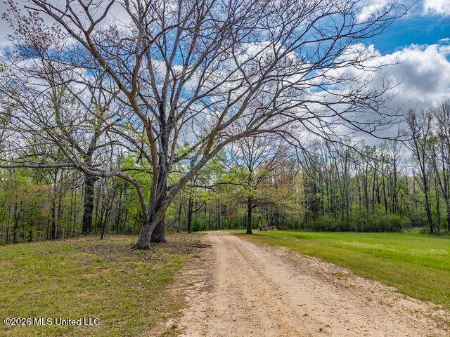1178 Travis Road Courtland, MS 38620 - Photo 83 of 96 1178 Travis Rd Courtland MS_2026-04-01_8