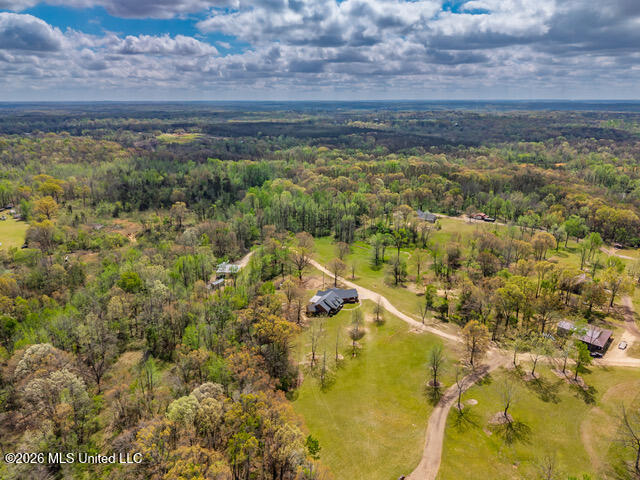 1178 Travis Road Courtland, MS 38620 - Photo 93 of 96 1178 Travis Rd Courtland MS_2026-04-01_9