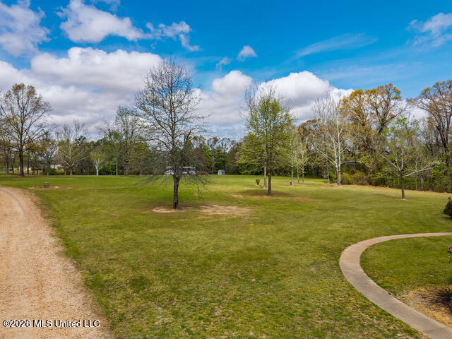 1178 Travis Road Courtland, MS 38620 - Photo 96 of 96 1178 Travis Rd Courtland MS_2026-04-01_9