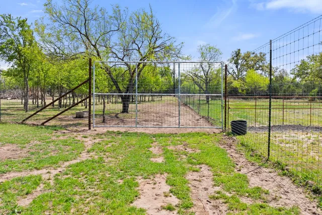 a view of a park with a tree