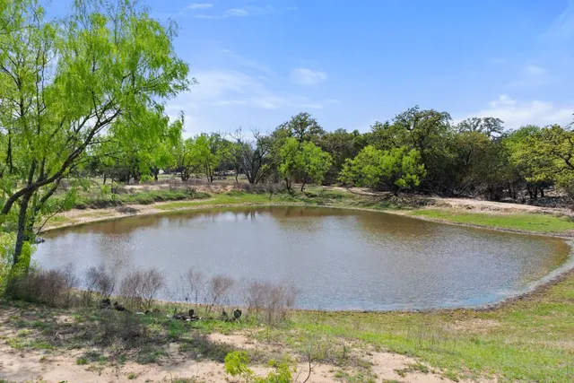 a view of a park with large trees