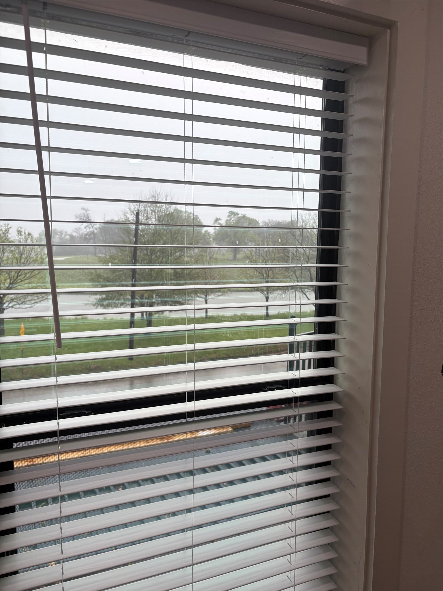 1820 North MacGregor Way Houston, TX 77023 - Photo 13 of 35 a close view of sink and a window