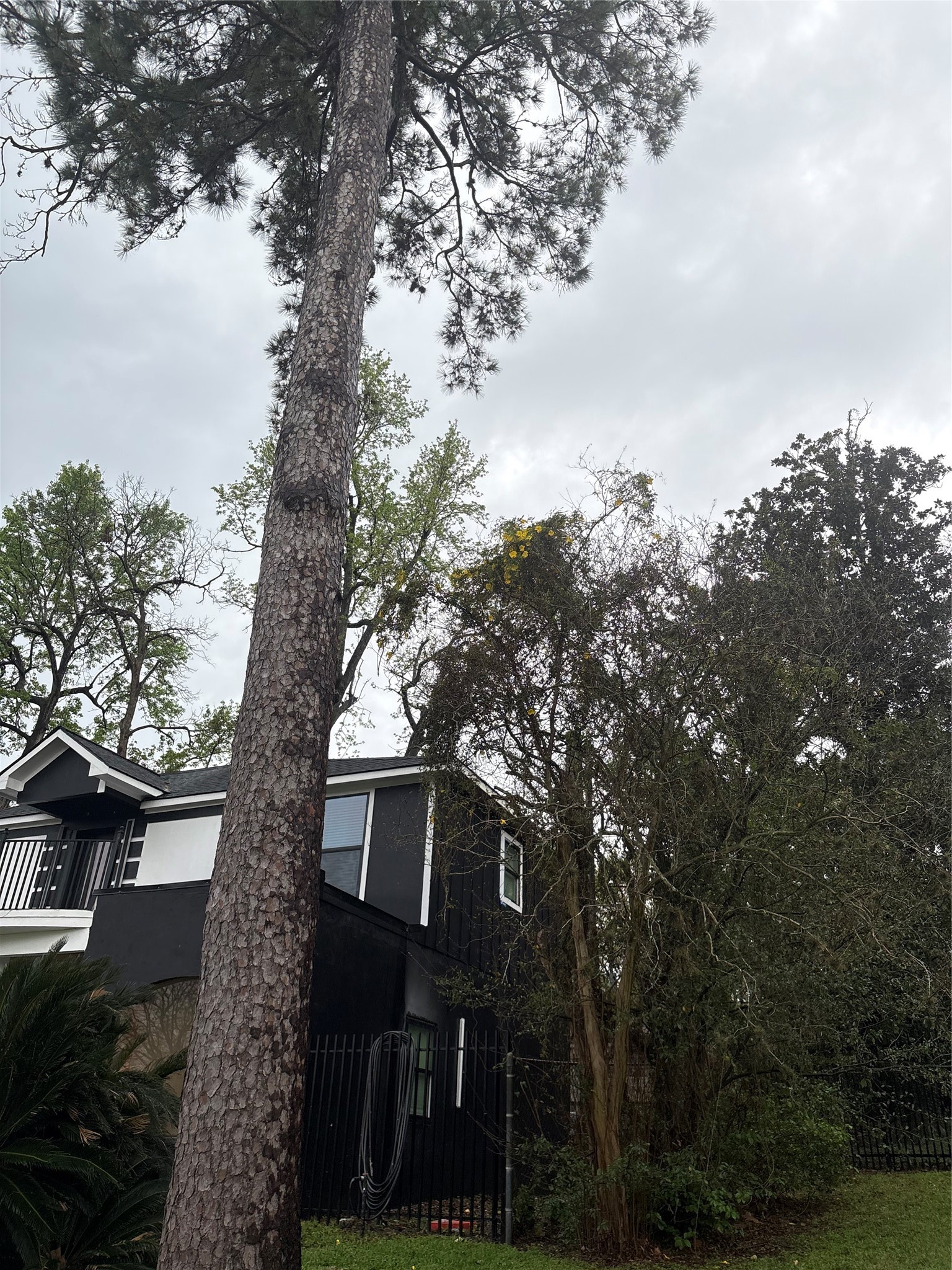 1820 North MacGregor Way Houston, TX 77023 - Photo 8 of 35 a view of a house with a tree