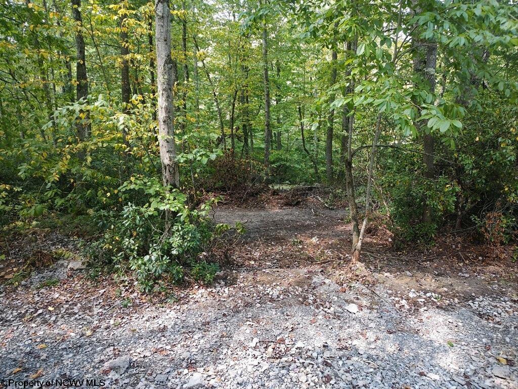3658 Hanging Run Road Belington, WV 26250 - Photo 11 of 35 Gallery Image 11