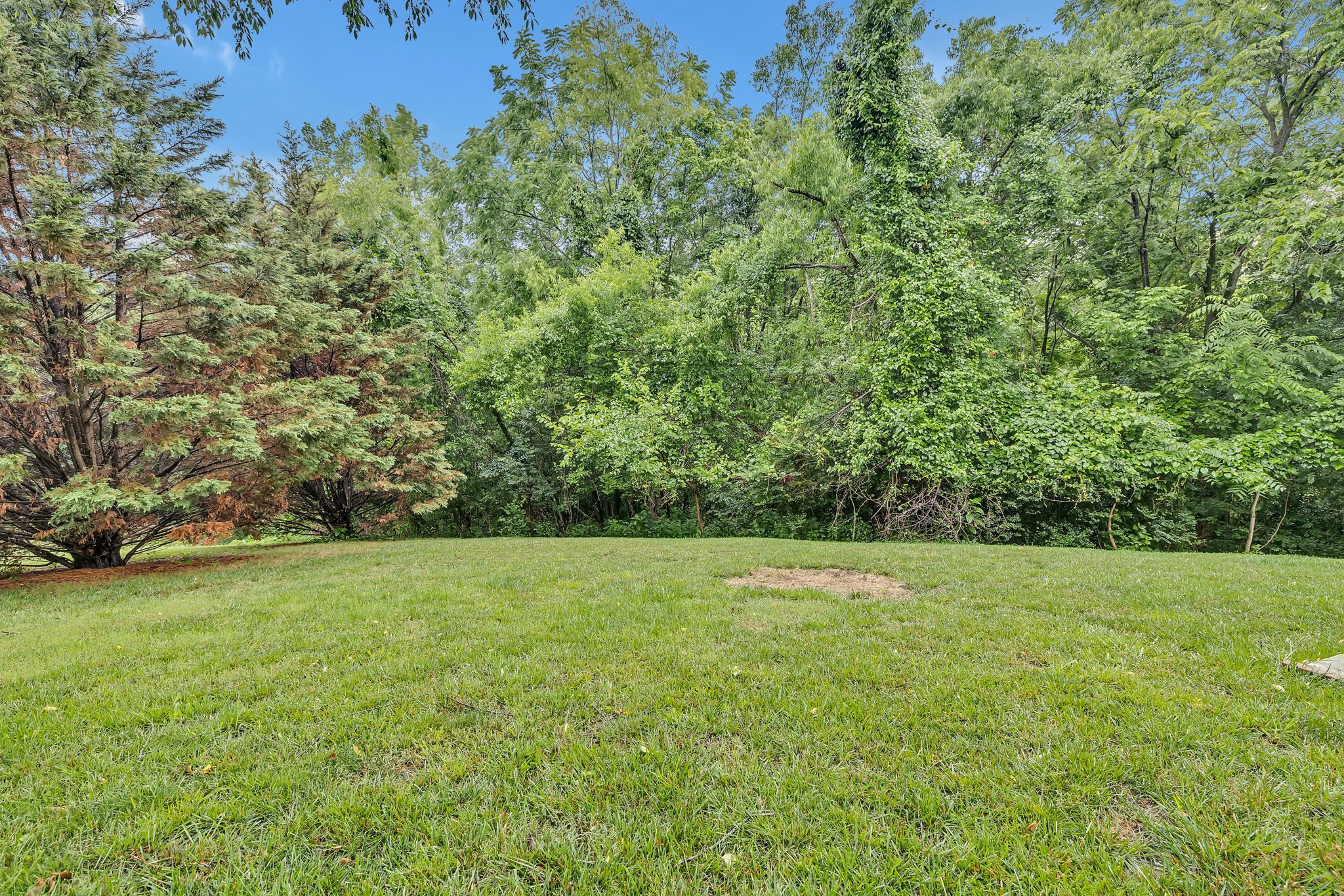 573 Summit Way Mount Juliet, TN 37122 - Photo 32 of 37 a view of outdoor space and yard