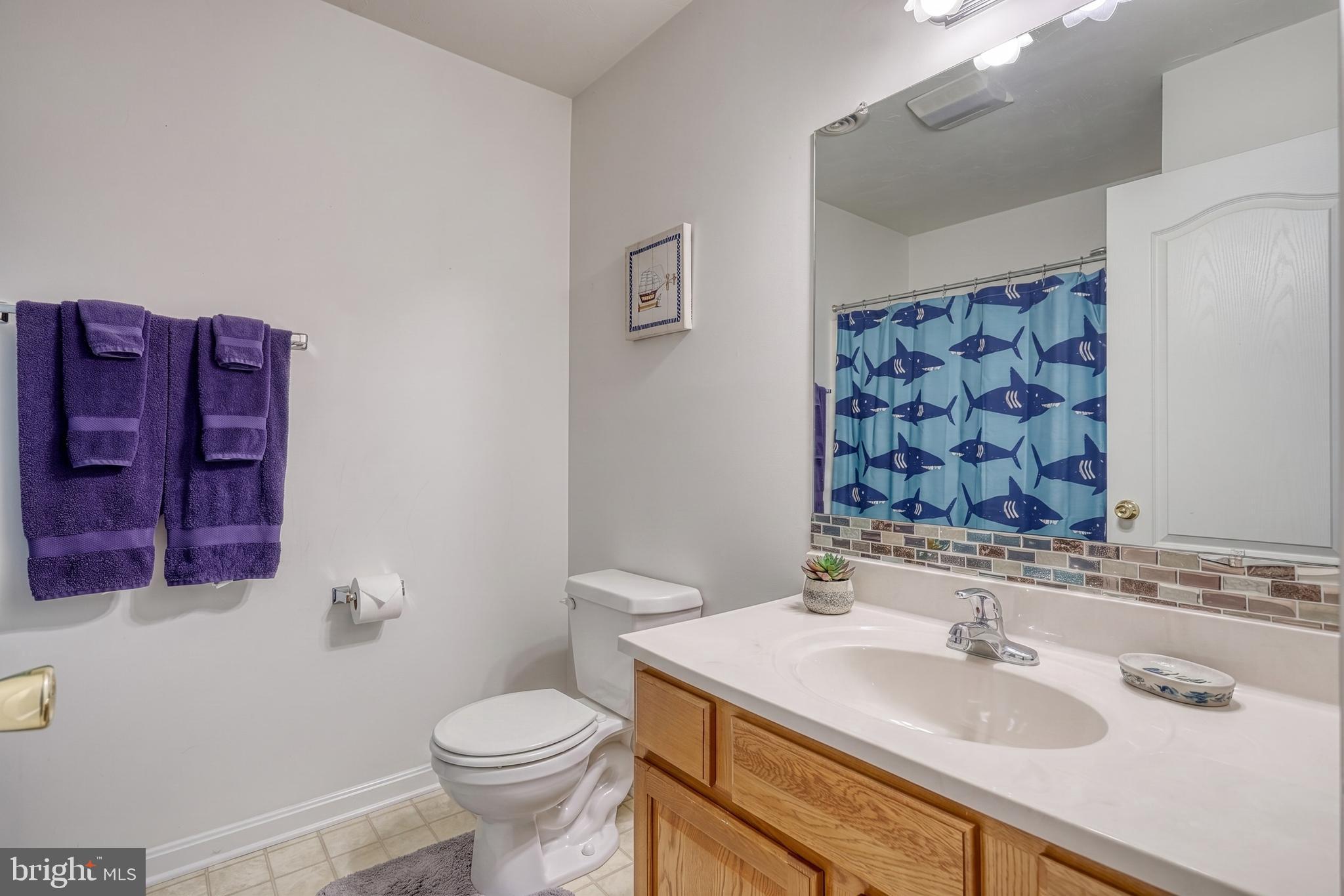 137 Maple Drive Hanover, PA 17331 - Photo 24 of 59