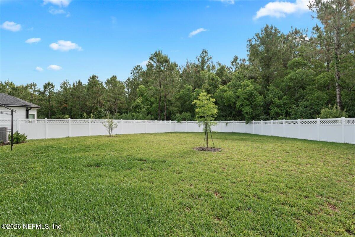 553 Archstone Way St. Augustine, FL 32092 - Photo 36 of 56 Backyard