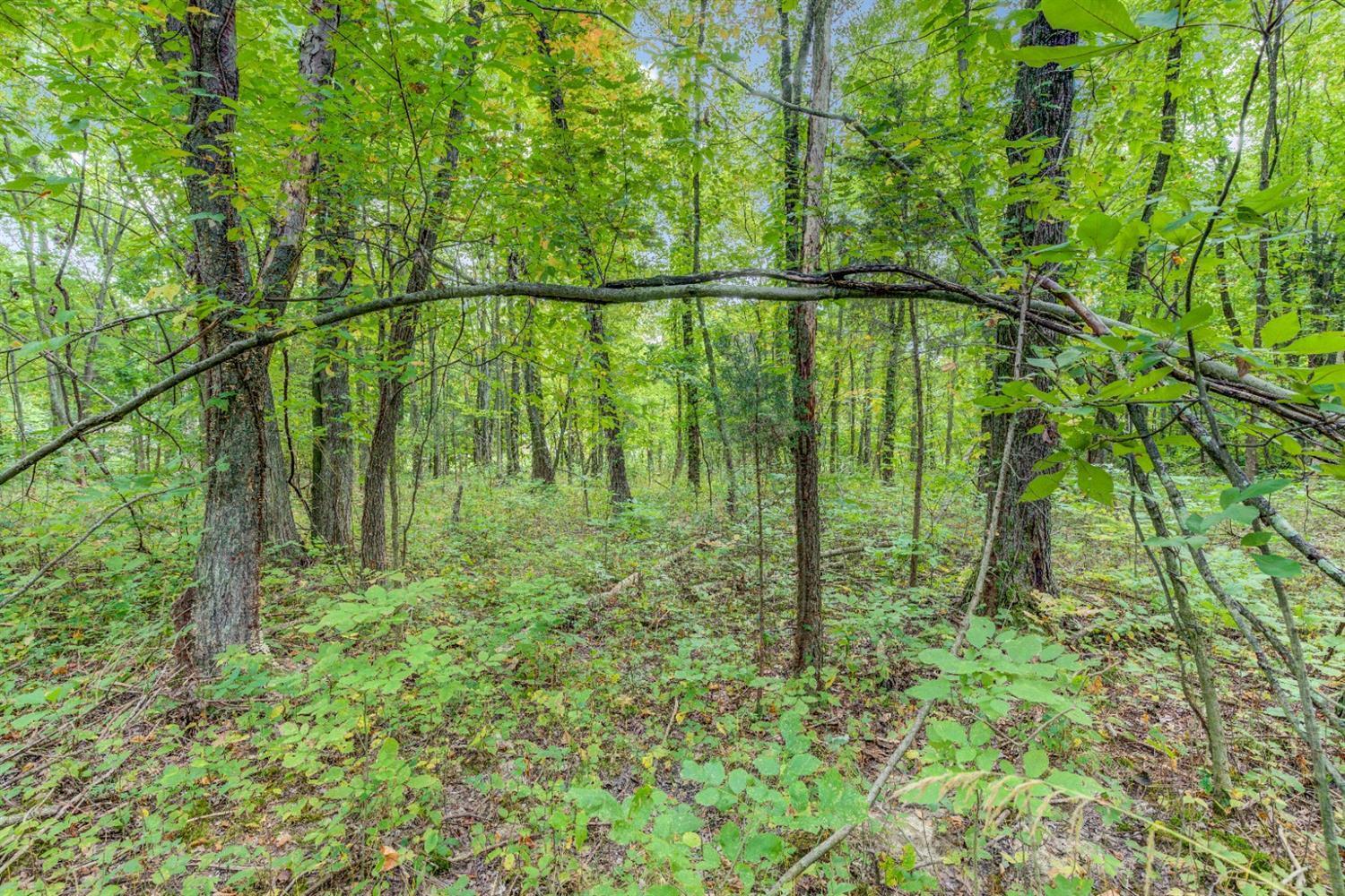 A Locust Lake Road Amelia, OH 45102 - Photo 25 of 45 Gallery Image 25