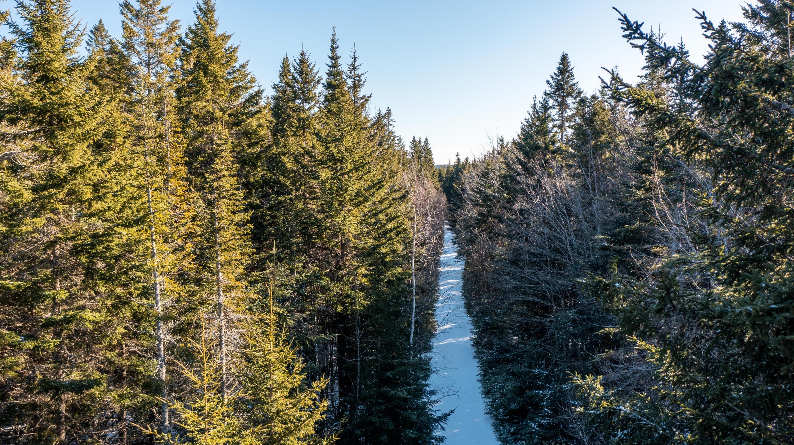 Lot #4 Nepp Point Road Roque Bluffs, ME 04654 - Photo 38 of 62 Lot 4 Nepp Point Rd, Roque Bluffs (11 of