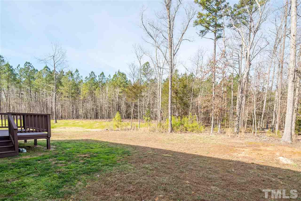 1004 Lakeview Road Durham, NC 27712 - Photo 23 of 25 a view of a yard with a slide and a lake view