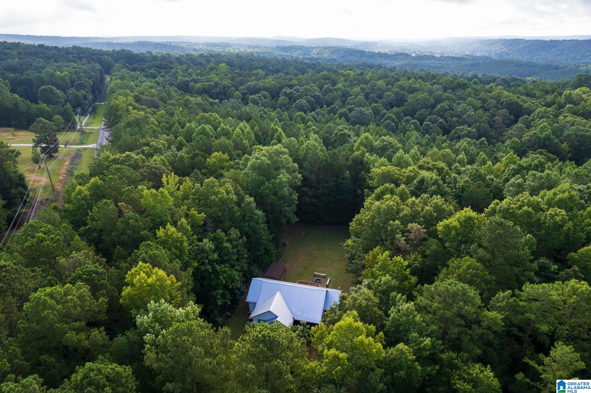 41 New Lebanon Road Odenville, AL 35120 - Photo 37 of 46 Gallery Image 37