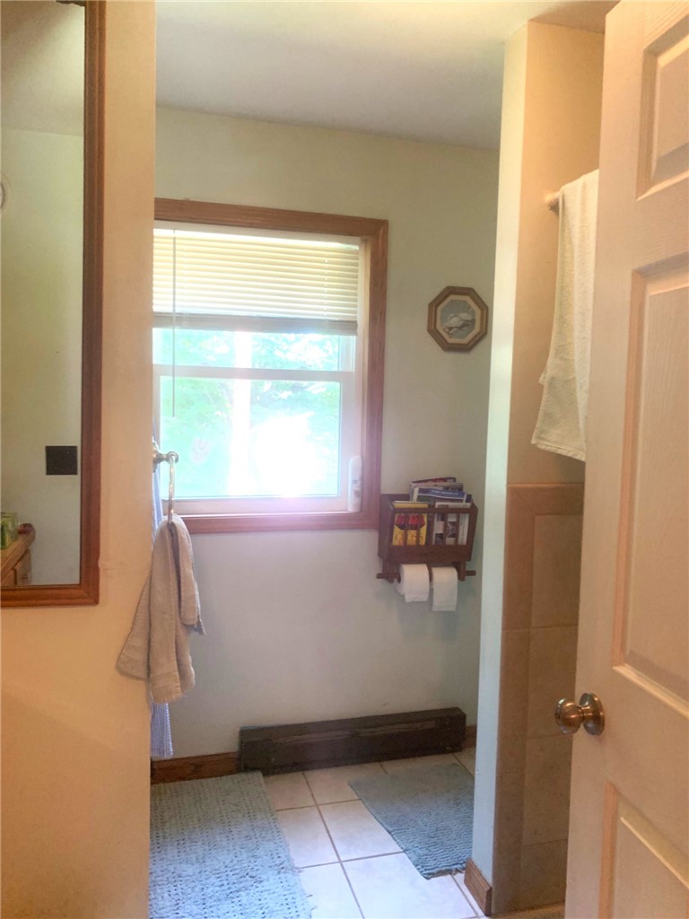 3335 Lisk Road Hector, NY 14869 - Photo 9 of 18