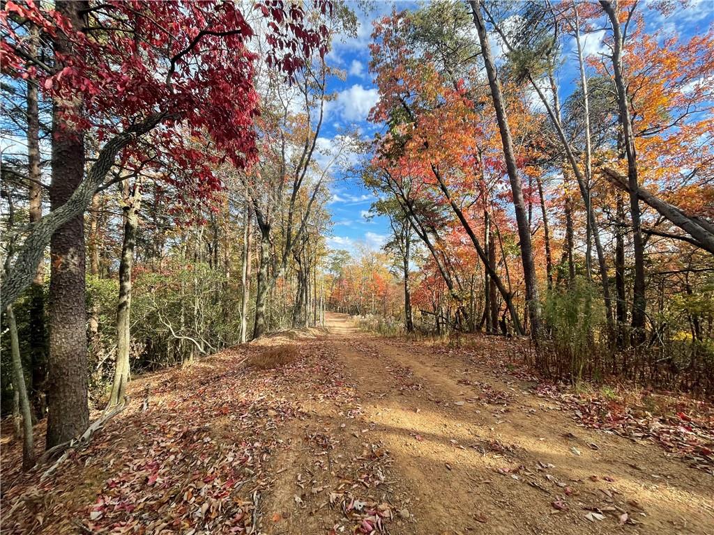 0 Firetower Road Jasper, GA 30143 - Photo 24 of 63 View of local wilderness