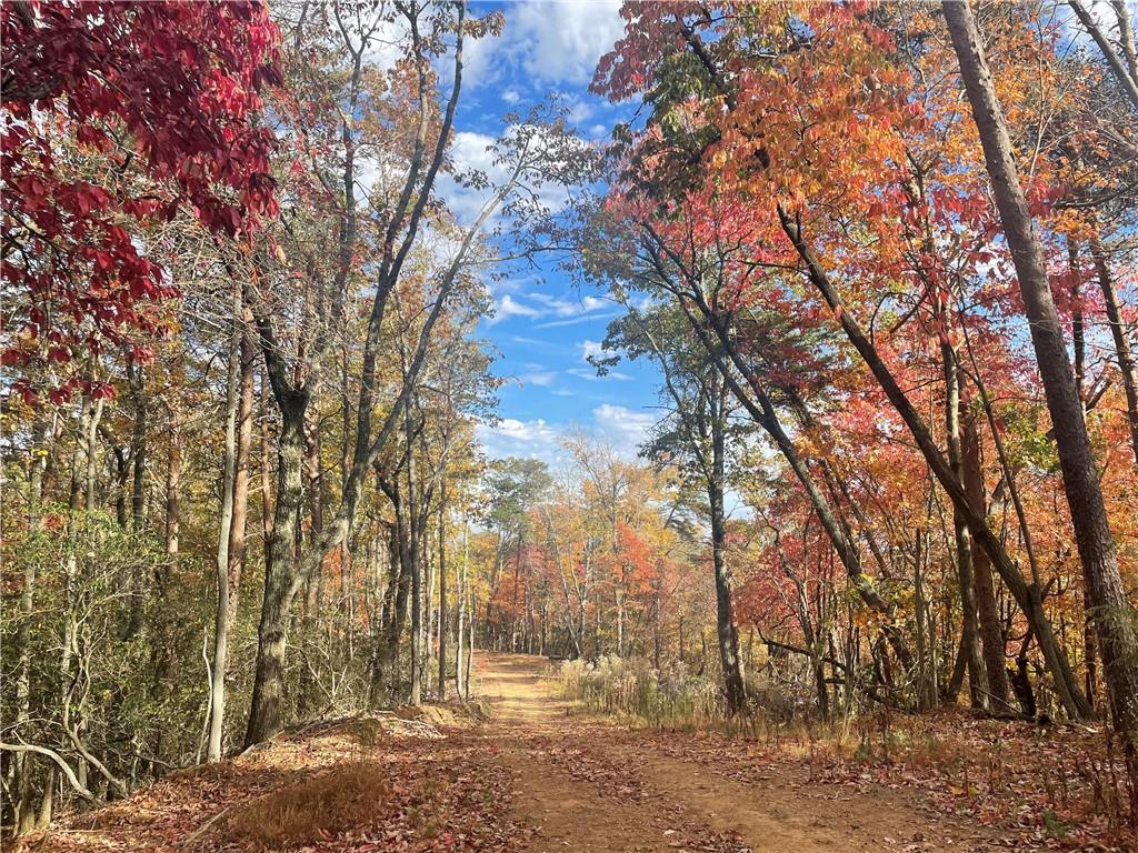 0 Firetower Road Jasper, GA 30143 - Photo 25 of 63 View of mother earth's splendor