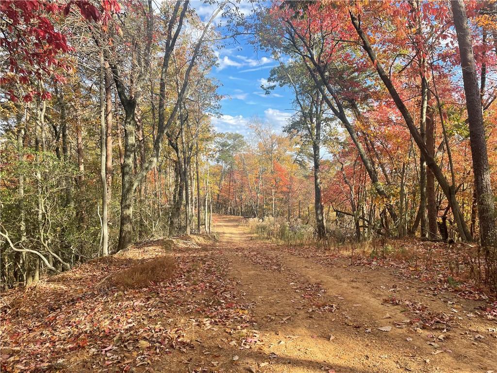 0 Firetower Road Jasper, GA 30143 - Photo 26 of 63 View of nature