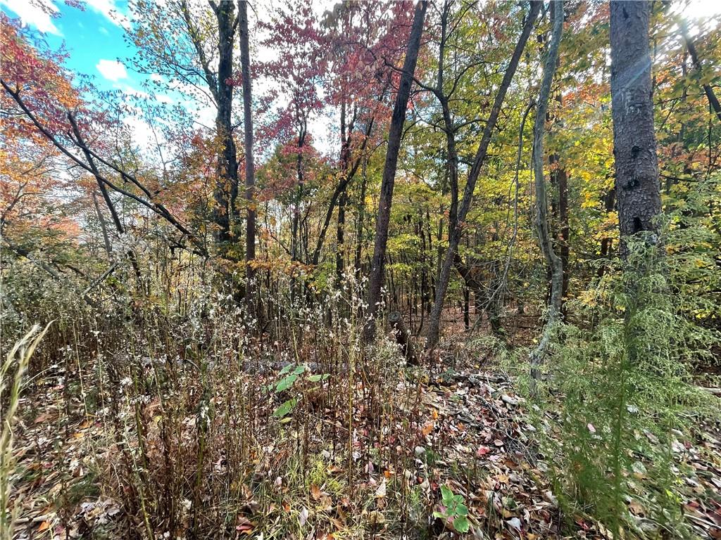 0 Firetower Road Jasper, GA 30143 - Photo 27 of 63 View of nature